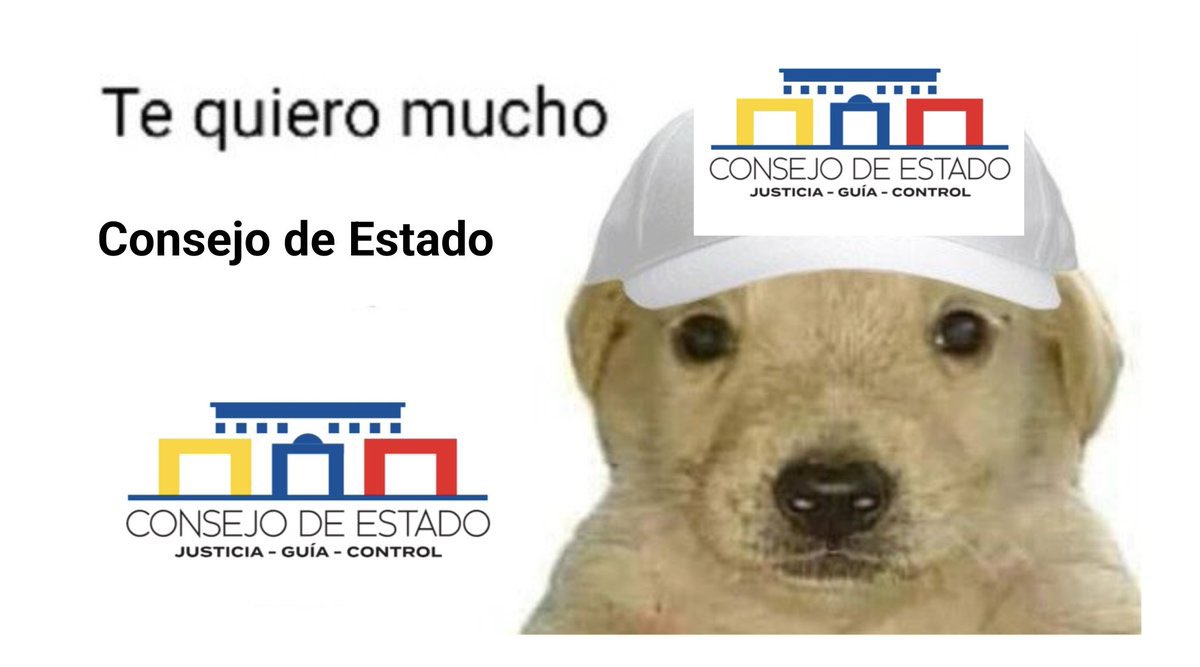 nacional_memes's tweet photo. El Consejo de Estado señaló que la protesta es un derecho fundamental, pero no es absoluto, y que existen responsabilidades patrimoniales cuando se causan daños a terceros durante las manifestaciones. 🐺 https://t.co/YqY48eoyF3