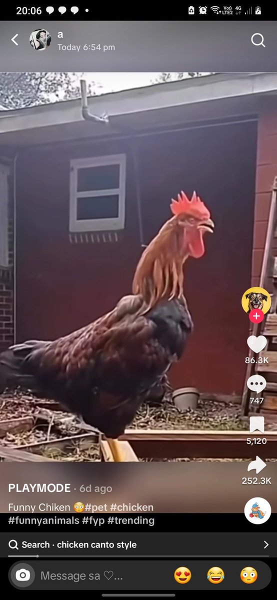 nurtjure's tweet photo. @kidscoerr AYAM BENERAN WKWKWKSKKSKSKA https://t.co/LMxm7SAV0S