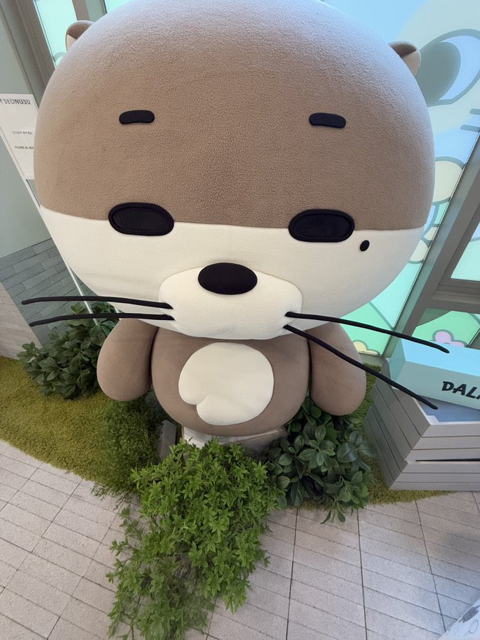 sunviewoo's tweet photo. 두부 https://t.co/kEkP2nMFoA