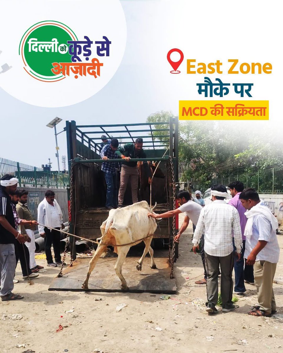 shubham43264499's tweet photo. So @MCD_Delhi says Delhi ko kude se azaadi , Kya Gau Mata Mcd ko kuda lagti hai ?? @gupta_rekha ?? https://t.co/ayYaFNOVI1