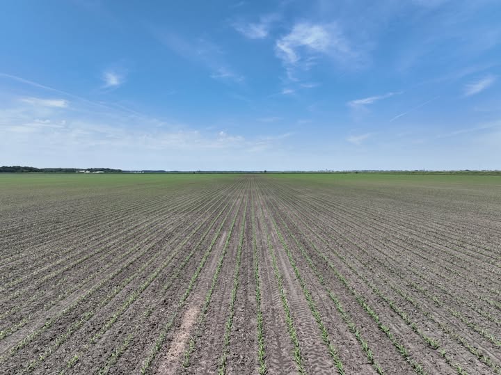 MGWLand's tweet photo. SOLD: The Brooklyn Road Farm, Lee County, Illinois

We continue to have interested land buyers in the area. If you are considering selling your farm, or if you would like to discuss current land values, please use the link below for more info: https://t.co/JCqymauWuc
View listing: https://t.co/P2XVD4wyca
