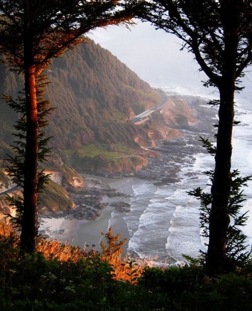 echoesofworld's tweet photo. Oregon Coast https://t.co/mhYIBPyqud