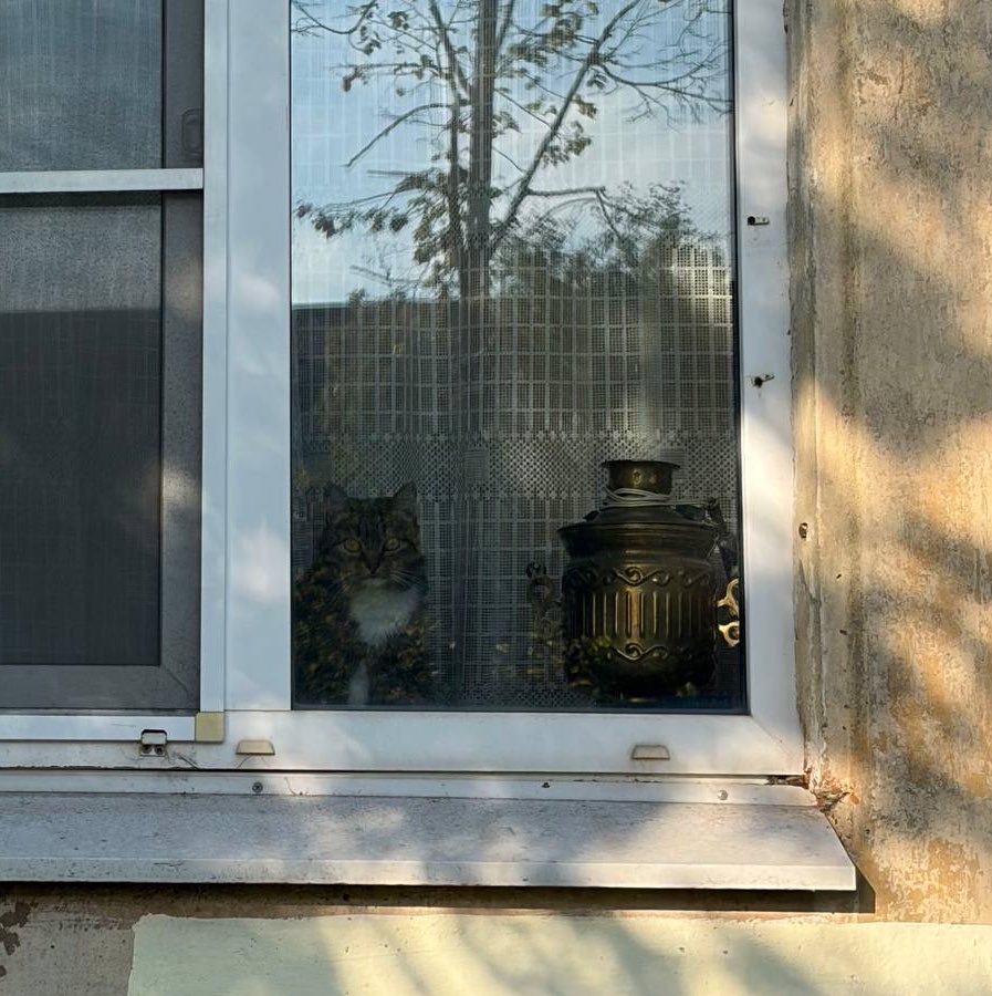 SanchoDMNT's tweet photo. 今日、窓に猫とロシアのサモワルをみました。びっくりしました！もう サモワルは 誰も 使っていませんから。でも、これは 面白い ステレオタイプです。 https://t.co/A6GnCn7J5p