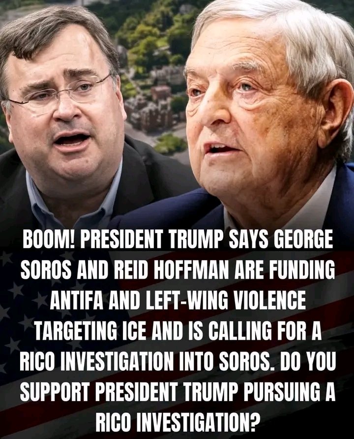 DerekJohnsmvr's tweet photo. Do you support President Trump pursuing a RICO investigation? https://t.co/sBKMeiAjwe