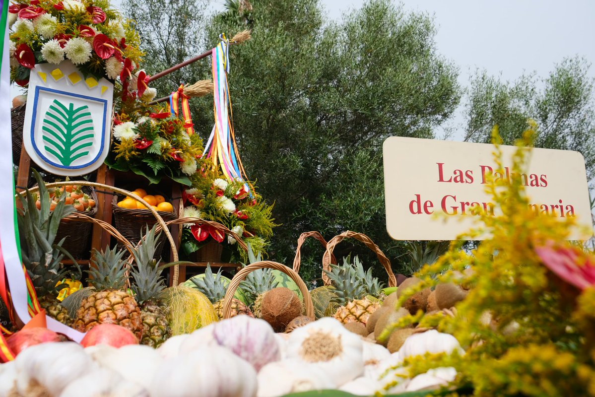aytolpgc's tweet photo. 🔹 El 7 de septiembre, #LPGC estará en la Romería-Ofrenda del Pino con una carreta inspirada en el Mercado de Vegueta, decorada con productos de @Mercalaspalmas y acompañada por @LosGofiones y Flor Canaria del Atlántico https://t.co/nY5GRiS0zT