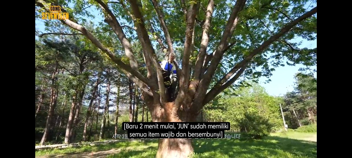 hylsaturnz's tweet photo. WHY HE'S ALWAYS CLIMBING??? 😭😭😭🤣🤣🤣🤝🏻🤝🏻🤝🏻🤝🏻🤝🏻 cat behaviour  😹🕷🕸🧍‍♀️ https://t.co/ff5kyMkU77