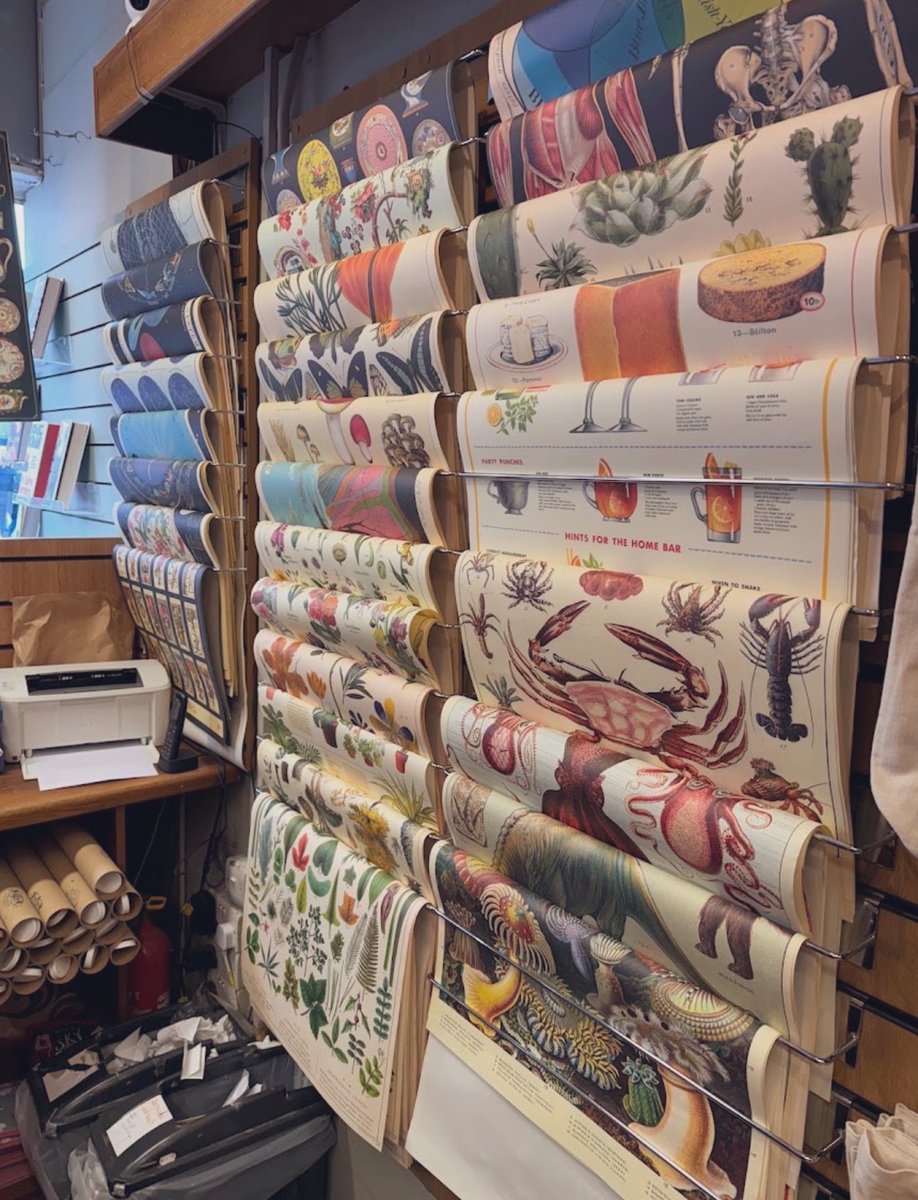 witheredemotion's tweet photo. Small glimpse into Auden’s bookshop, located in Notting Hill. https://t.co/rwq5wseZpA