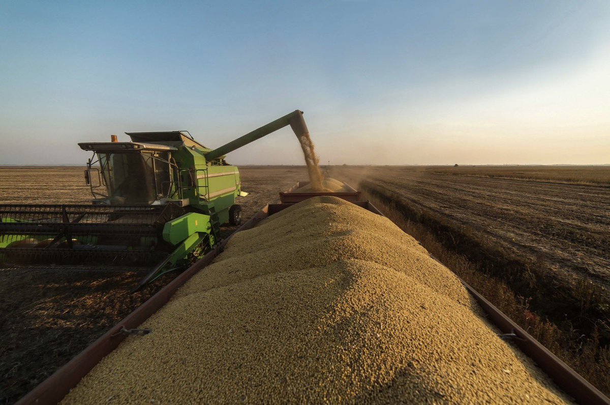 CleanFuelsAA's tweet photo. U.S. soybean crush continues to gain momentum. New @USDA data show processors crushed 221.9 million bushels in July, the highest monthly total since March and 8.2% above July 2025. Domestic soybean crush has now exceeded year-ago levels for 17 consecutive months, reflecting continued investment in U.S. processing capacity and stronger markets for American farmers thanks to the #RFS. 

More crush means more homegrown feedstocks for clean fuels.

According to the latest @EIAgov data, clean fuel production used 1.55 billion pounds of soybean oil in June alone. That’s nearly as much soybean oil as the industry used during the entire first year of the Renewable Fuel Standard in 2005.

#BetterCleanerNow