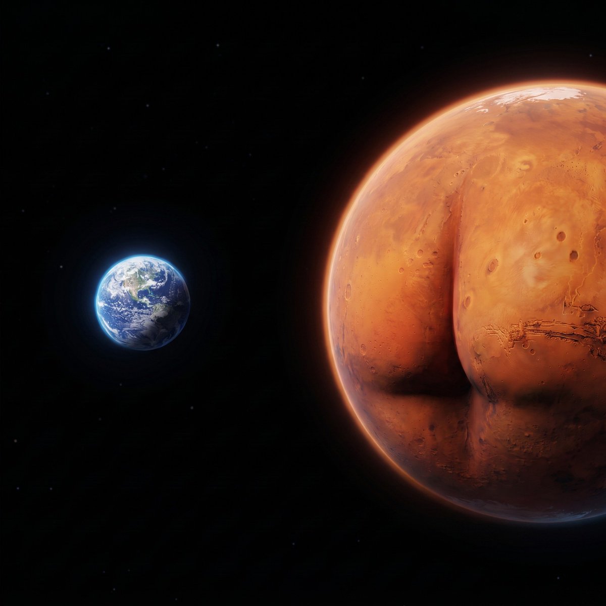 marsedotspace's tweet photo. look for MARSE memes on the website.
please don’t be fucking lazy.
move your arse.
https://t.co/qcg01x5SyI https://t.co/u8oCZjlmNa