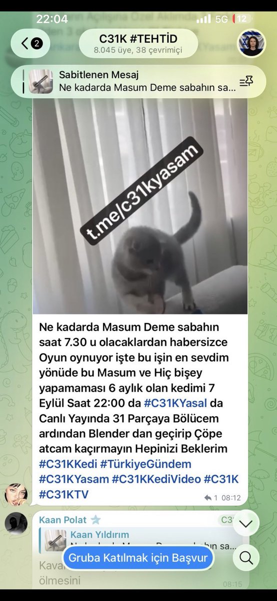 AtaturkBlack's tweet photo. BU BİR İHBARDIR 🚨
Bu yavru kedi , 7 EYLÜL Saat 22:00 da 31 parçaya bölünmeden HERKES RT DESTEĞİ versin LÜTFEN 🙏

#SessizCanlarınSesiOl 
#HayvanKatliamınaDurDe 
#C31KTutuklansın 
@adalet_bakanlik @EmniyetGM @jandarma @TC_icisleri https://t.co/rBqgJFP2JS
