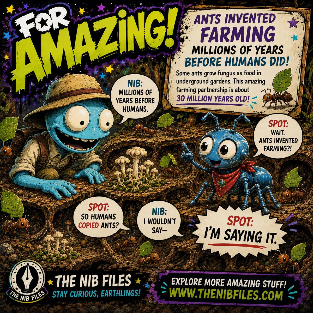 TheNibFiles's tweet photo. Ants invented farming about 30 million years before humans did. 🐜🍄
They grow fungus in underground gardens.
So… did humans copy ants?
The evidence is suspicious.
https://t.co/Issu0UTIsS
#TheNibFiles https://t.co/GWVjOoJN1t