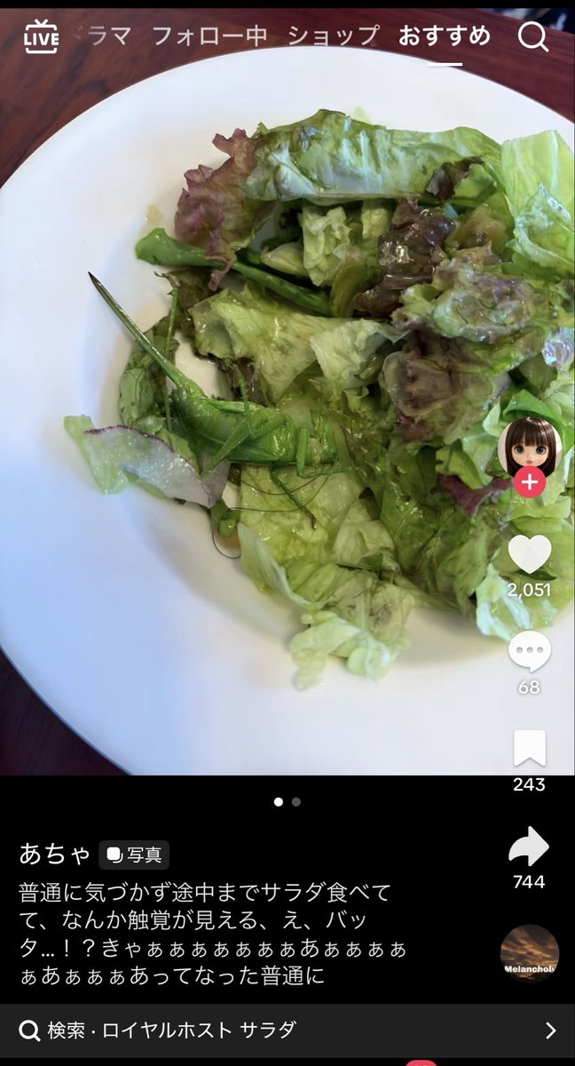 21kawaii_'s tweet photo. ロイヤルホストのサラダに馬鹿でかいキリギリスが混入してる動画出てきてドカ鬱 https://t.co/huilIICpMd