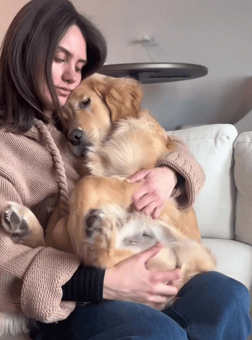 Samira07654667's tweet photo. Nothing beats a tired pup’s snuggles after a long walk today https://t.co/fNH6j5caJE