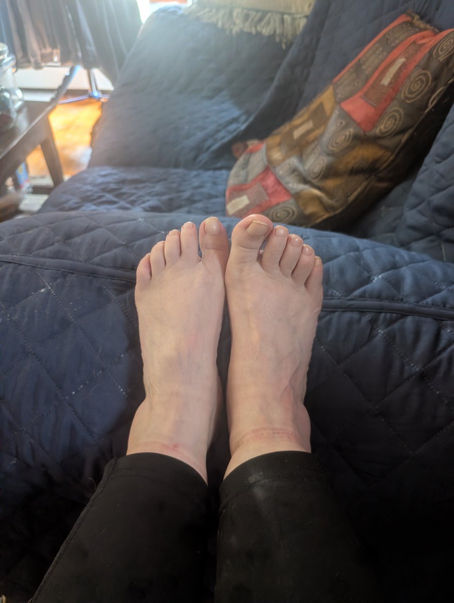 missmariannie's tweet photo. These poor little piggies demand a pedicure

#paypig #findom #humanwallet https://t.co/aLUW1dPSOU