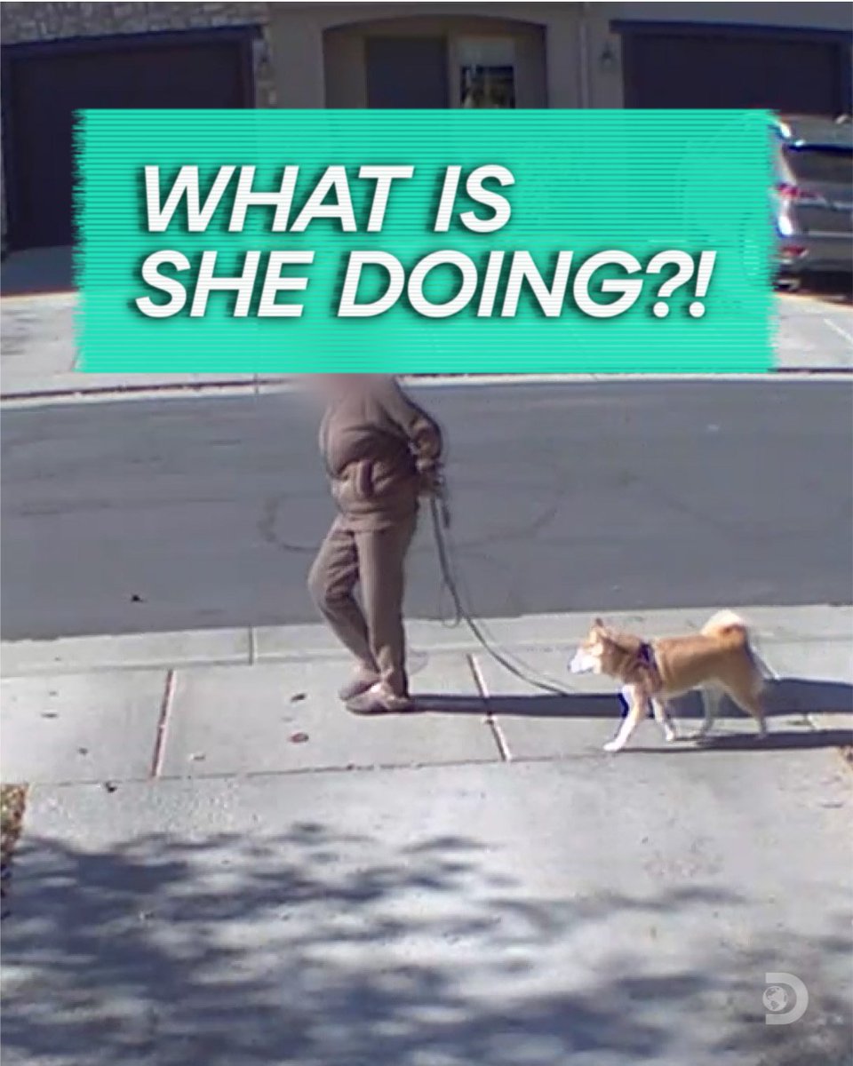 Discovery's tweet photo. A neighborhood conflict that sparks widespread discussion online to a video game store incident caught on camera, Tizzy digs deeper into the stories behind the videos.

Don't miss #HowToCatchADirtbag TONIGHT at 10P on Discovery. https://t.co/eJ1PGdvOB2