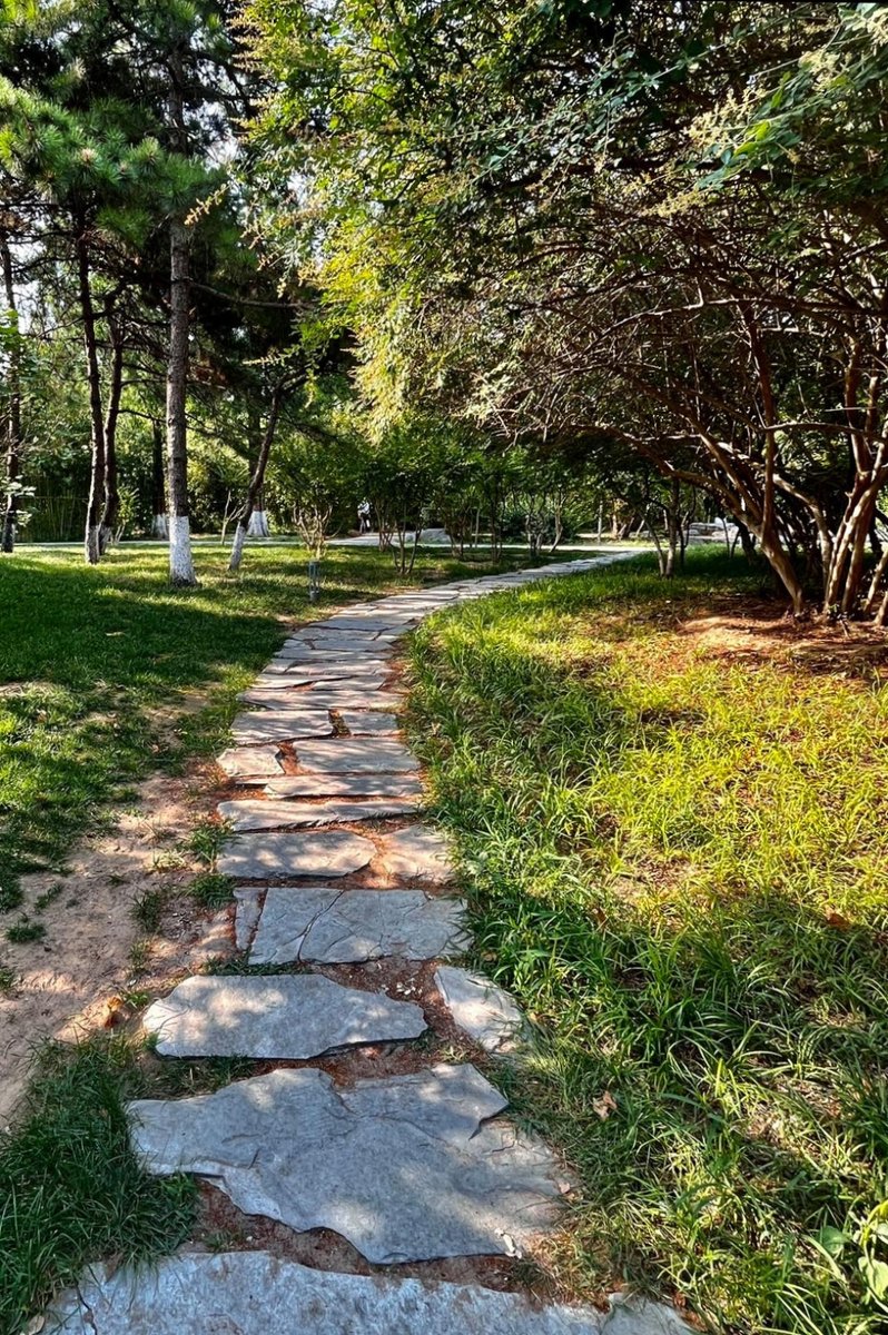 AddisonTaljy's tweet photo. Hoy brilla el sol y hace un calor agradable! Ideal para un paseo por el parque y disfrutar el día.， https://t.co/r618xwAq3W