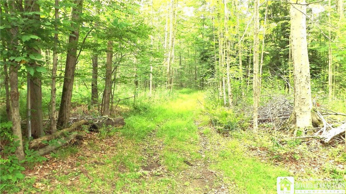rickjuliaRE's tweet photo. Don't scroll past this home! It might be what you've been looking for.
Richard &amp; Julia McMahon
Associate Brokers &amp; Partners Real Estate Advantage https://t.co/cUYtex9kMo