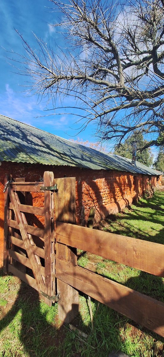 Laagregada's tweet photo. El rancho de los Iturria.
Las Cañas, Durazno https://t.co/aohN3NFx4R
