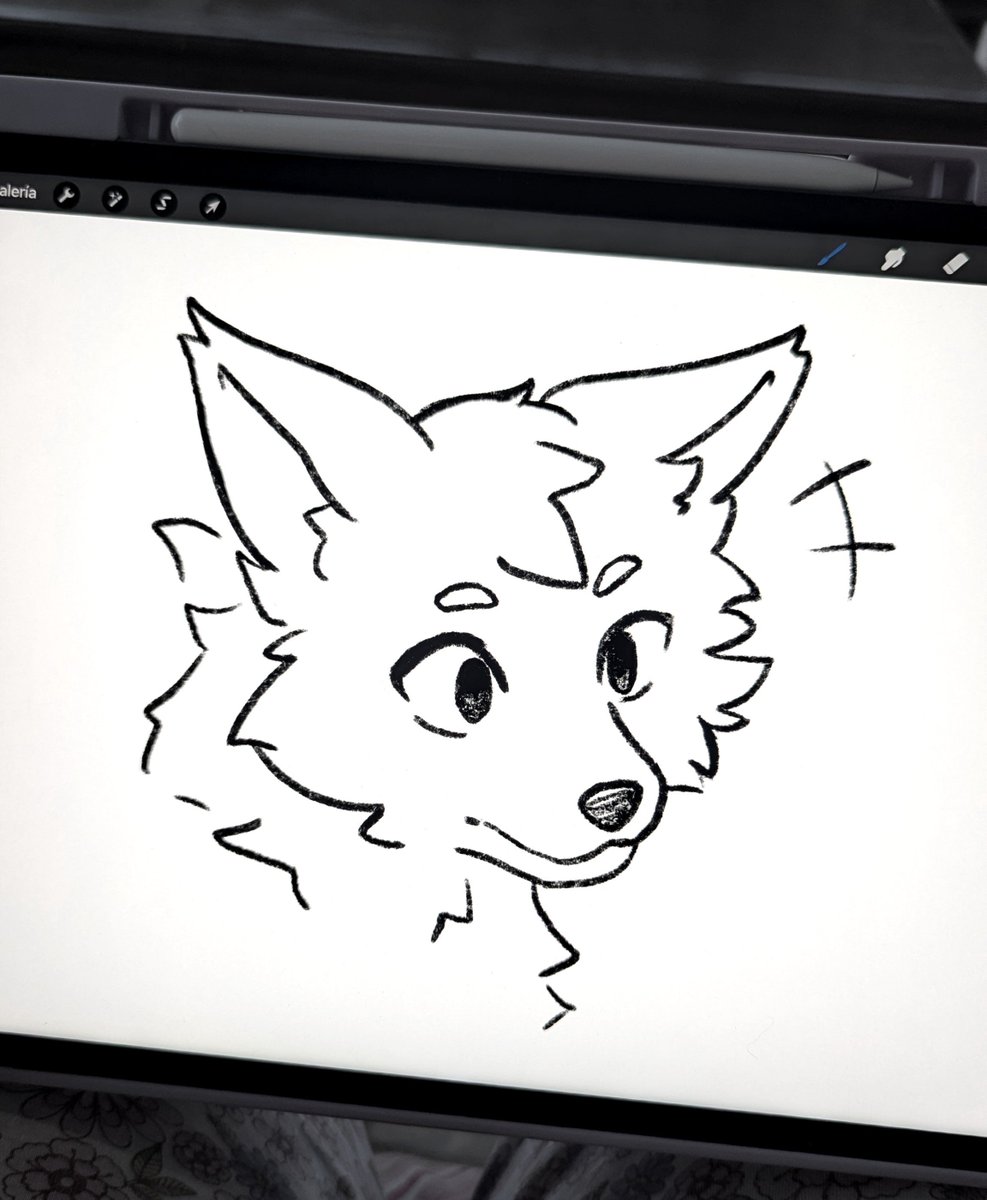 Noemi1999's tweet photo. Practicing dogs 🐾 https://t.co/6WEq72DBrH