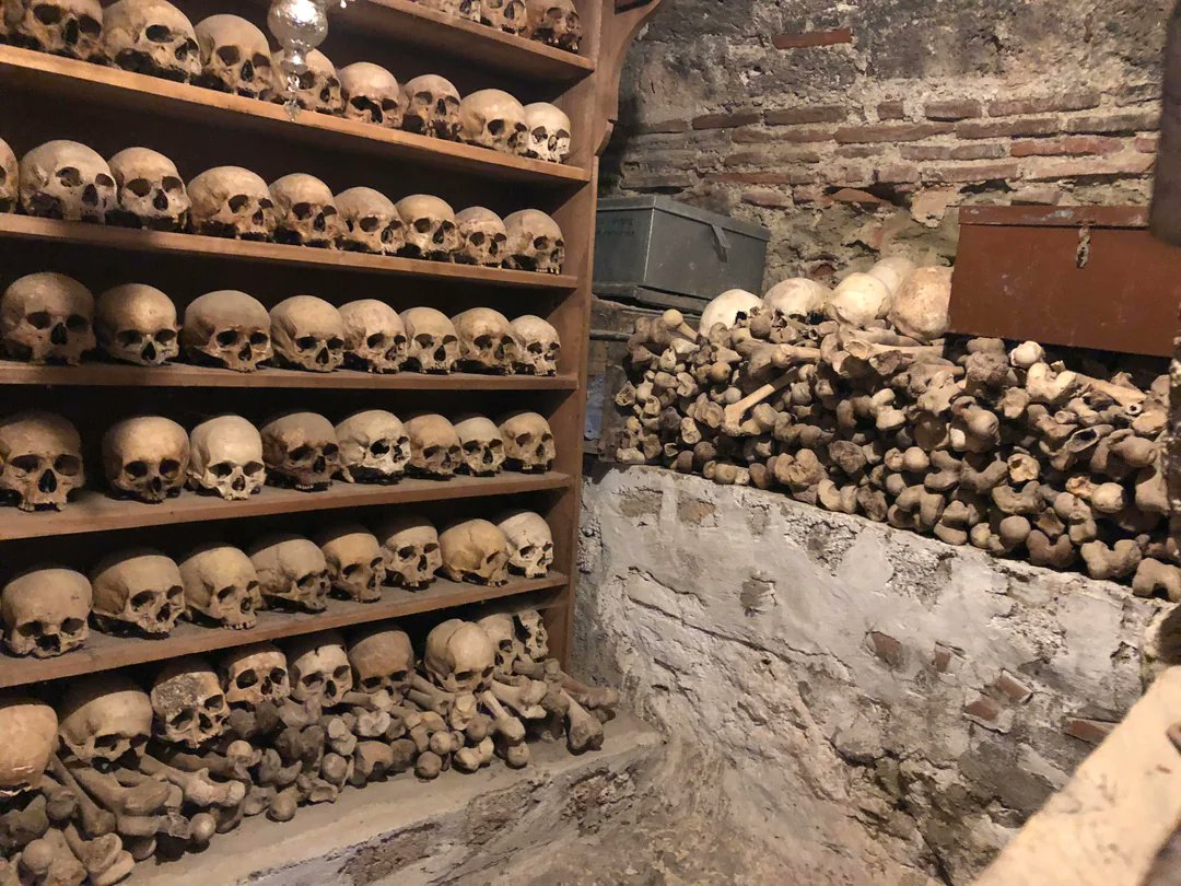 HomerPavlos's tweet photo. Muslim Turks, under the commands of Mustafa Kemal, sold the bones of the murdered Greeks and Armenians.

After the genocide and expulsion of the Greeks from Asia Minor, ships loaded with the remains of Greeks and Armenians sailed on their way to Western Europe. 

Turkey sold the bones of the dead. Industries used them to bleach sugar and tobacco. They ground them into fertilizer. 

At least 400 tons. More than 50,000 dead.

Thousands of men, women, and children fell into the hands of the Kemalist army and the irregulars. Women were raped in groups. Men were tortured without limit. 

Entire villages that stayed behind, hoping their Turkish neighbors would show mercy, were executed.

The hostages were driven on death marches across thousands of kilometers. Barefoot. Nearly naked. Beaten by villagers along the way. Many died of thirst in the ravines of Magnesia. Those ravines supplied the bones Kemal later sold.

The survivors were sent to labor battalions. They rebuilt the infrastructure of the new Turkish state under conditions designed to finish them.

After Lausanne, 1.5 million refugees arrived in Greece searching for relatives who never came home.

This is not ancient history. This is the century that produced us.

They want us to forget. 

They want the bones to remain fertilizer and the names to remain numbers.

We do not forget.

We never forget the Genocide of the Greeks of Pontus & Asia Minor by the Muslim Turks. The genocide was orchestrated by Mustafa Kemal & the Young Turks, & it was racially and religiously motivated in order to create their pseudo-nation 100 years ago. They butchered, tortured, raped, burnt and starved to death through the death marches millions of Greeks, Armenians and Assyrians.

The true barbarian is the one who turns the dead into raw material and then lectures the living about civilization.

Homer Pavlos