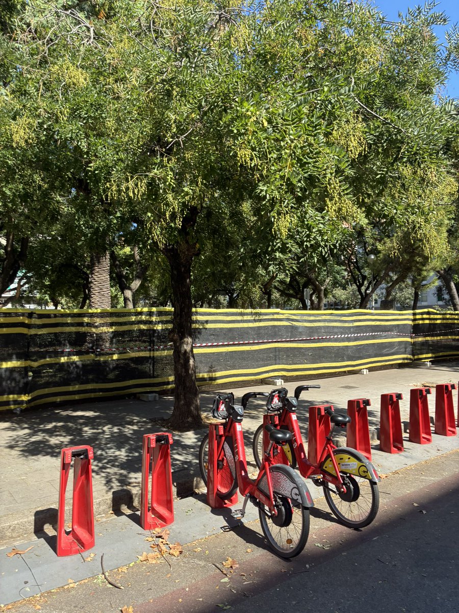 mario171183's tweet photo. 🌳@ERCbcn ha fet possible que avui comencin les obres de reforma dels Jardins Joaquim Ruyra a Les Corts, per tal de millorar, sobretot, els jocs infantils. 

🛝 En uns mesos el nou parc serà una realitat! #lescorts https://t.co/srkuYKB7CC