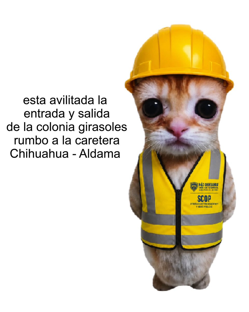 Scop_Chihuahua's tweet photo. Toma tus precauciones
Continuamos trabajando en el Paso Superior Palestina y Fuerza Aérea, antes de salir, revisa las rutas alternas y planea tu recorrido para evitar contratiempos.
Mantente pendiente de nuestras redes sociales para conocer las actualizaciones
#scop #meme https://t.co/iy8ZBFb8Iu