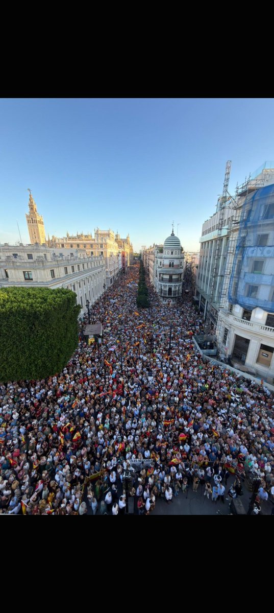 Historia1986's tweet photo. @elmundoes Y en la de Sevilla unos 1200 na más ...hasta en esto mienten los traidores. https://t.co/YMIQFs941X