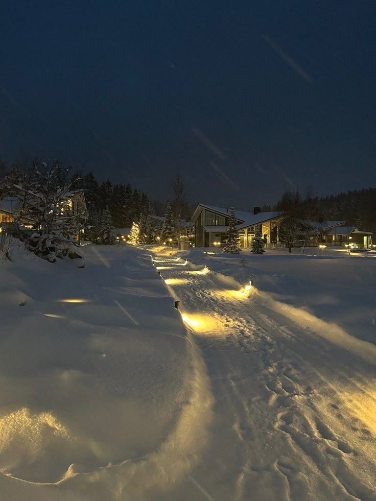 purelivn's tweet photo. snowy winter night https://t.co/wyyqtMPsvy