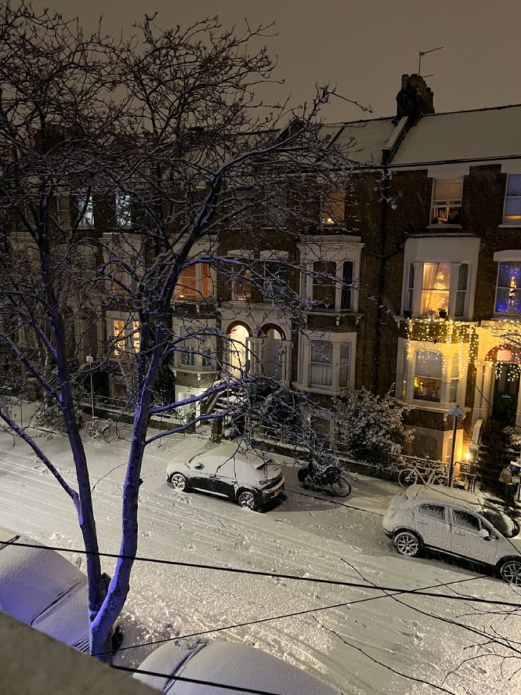 purelivn's tweet photo. snowy winter night https://t.co/wyyqtMPsvy
