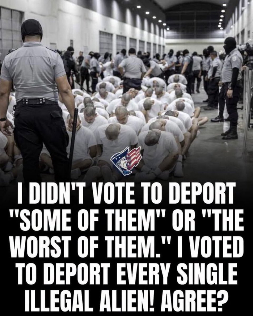 the_17thI's tweet photo. BINGO!!! 💯

77 million Americans voted for MASS deportations! https://t.co/SdAMZ3CZ6g