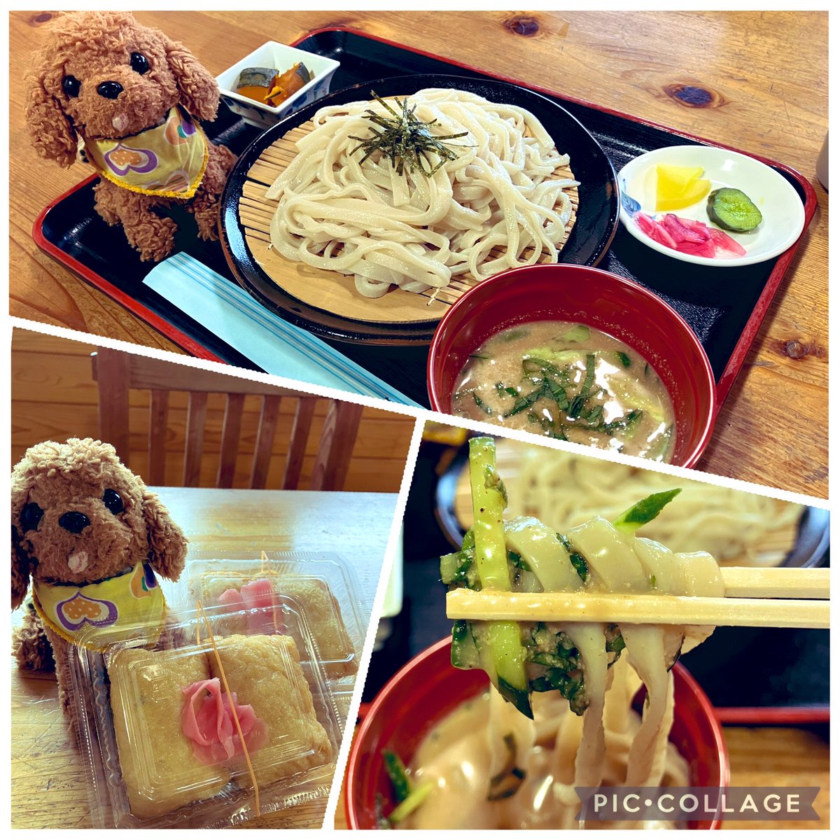Nikusatomi's tweet photo. おはよう⛰️8/29 標高400mの山腹にある、小学校跡地利用の山村体験施「くぬぎむら体験交流館🏠」ひもかわうどん作り,藍染,竹とんぼ作りなど工芸体験🈶 8/31終了の夏限定「冷汁ごまだれうどん」滑り込みセーフ💦食べに来れた❣️濃厚ごまだれ汁には薬味たっぷり😊大築山小築山の展望良き天空のうどん屋💕 https://t.co/WY2h0jSLQc