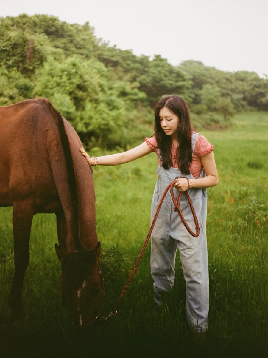 KSGUpdates's tweet photo. 📍 Mare Forest Horse Sanctuary, Jeju

"Horses resting to their hearts' content on the wide grass

From retired racehorses, to horses raised for meat, to foals who lost their mothers, horses scarred by human greed were gathered here. It is said that here, horses live as they desire, find healing, and are reborn, living their lives embodying the natural essence of Jeju. Rather than simply consuming horses as a form of entertainment — going to a ranch to feed them carrots and ride them around — I hope more people will visit this place to spend time understanding their feelings, communing with them, and giving them the love that they need."

🪽🙏