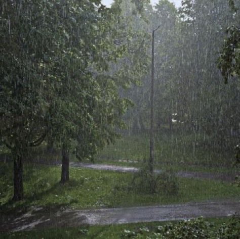 gloomyvisuaIs's tweet photo. rainy vibes. https://t.co/7CNfGXaPL3