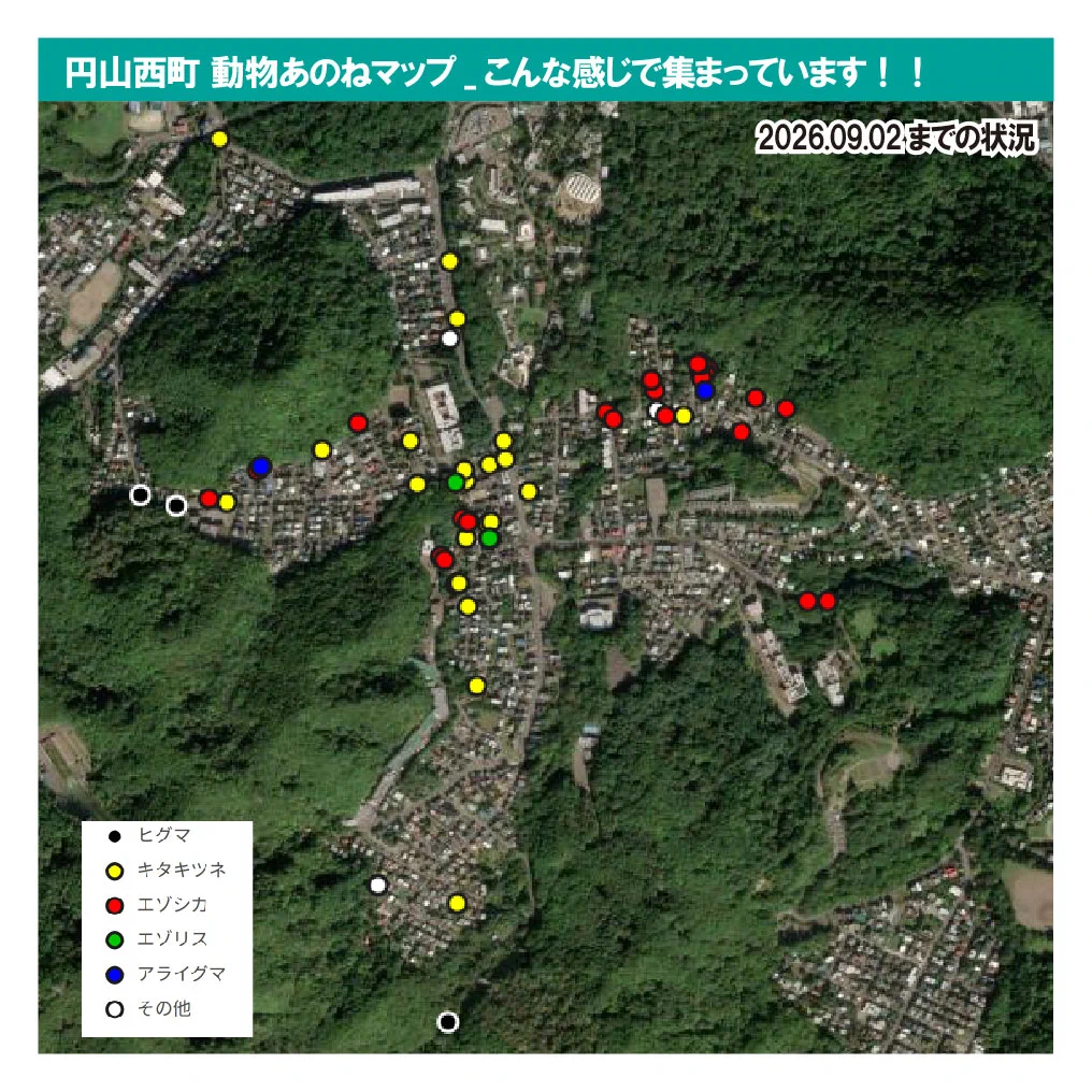 円 山西 町