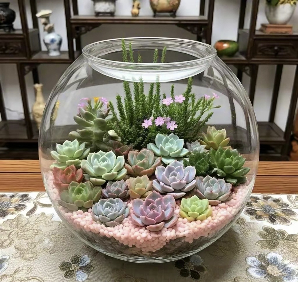 BrielleArnaztk's tweet photo. Vieja botella de vidrio convertida en linda maceta para mis suculentas!  Reciclar nunca fue tan chulo.， https://t.co/v6ytW6YL7K