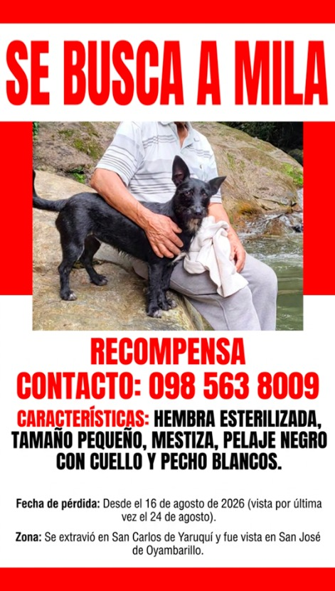 ByronJavier_md's tweet photo. Ayuda compartiendo se perdio en #Quito necesita medicamentos Urgentemente. su ayuda con #RT #AlertaMePerdí #Perdido #PerritoPerdido #AyudaSocial #ayuda #mascotaperdida #rescateanimal https://t.co/ZeMHNCYIZ7