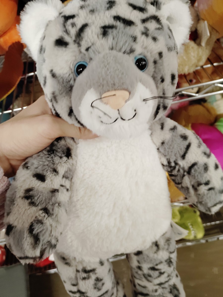 gwenjamjam's tweet photo. The strategy is always go to a goodwill they always have build a bears,,, I've gotten like 3 so far and my friends have gotten a few too... https://t.co/ywOQPDvRzs