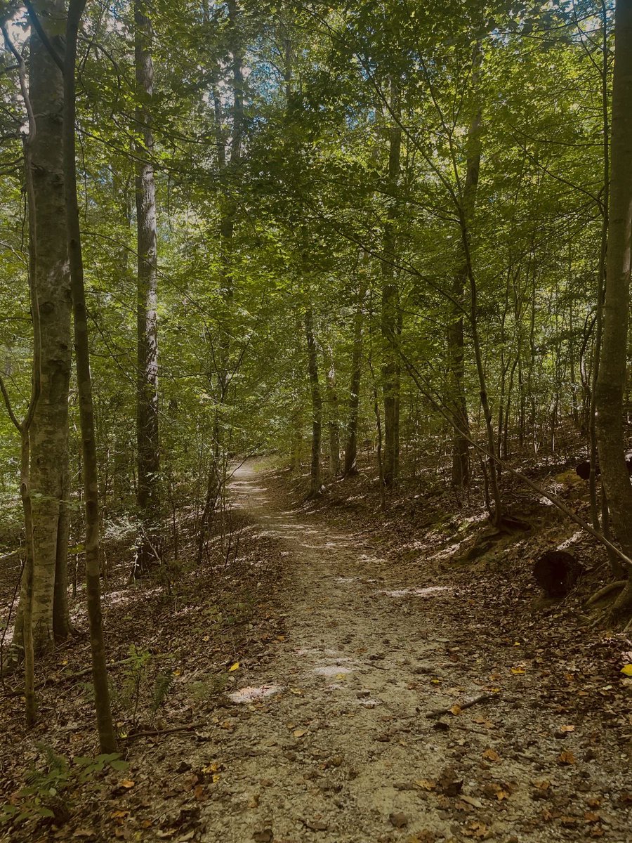 leileyves's tweet photo. 🎱 I've decided to have a stroll in the woods today. Some initiates at the church pissed me off, so I need some time alone right now... https://t.co/fX8hC9c1aE