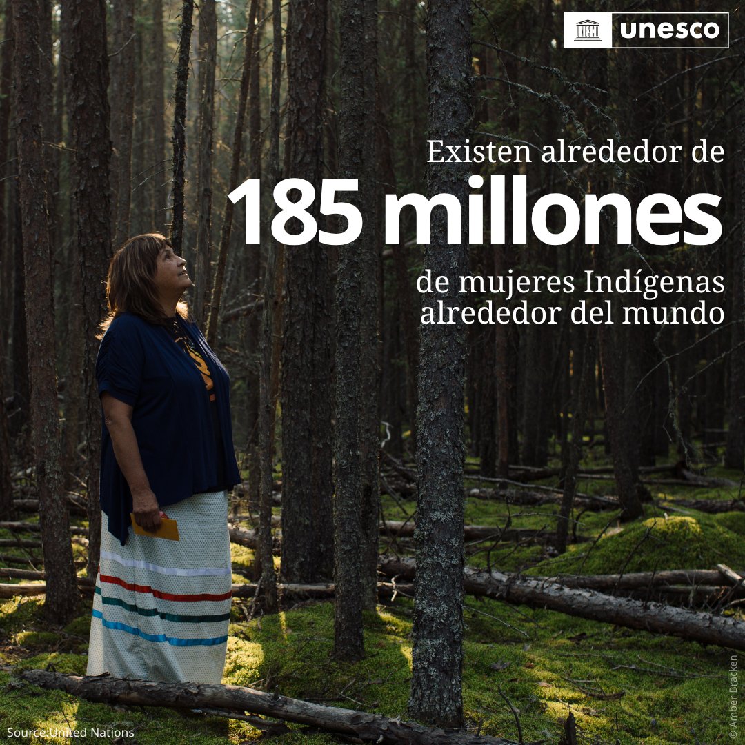 ONU_es's tweet photo. Cuando las mujeres indígenas protegen sus lenguas, sus tierras y sus saberes, protegen nuestro futuro.

Son guardianas de conocimientos, culturas y biodiversidad esenciales para nuestro planeta.

En este Día Internacional de las Mujeres Indígenas y siempre, reconozcamos su liderazgo y reclamemos el respeto de sus derechos.

Vía @UNESCO_es