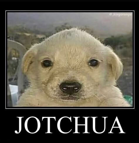 JotchuaTheMeme's tweet photo. https://t.co/LsBSmUd0iM