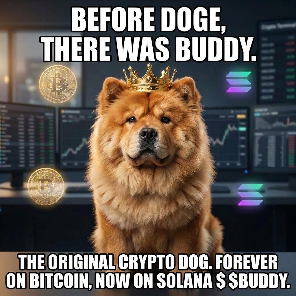 rand0mbuddy's tweet photo. @HubertBuyTheDip @Buddy0nsol Buddy the first 👑 https://t.co/CnQTgyMVZf