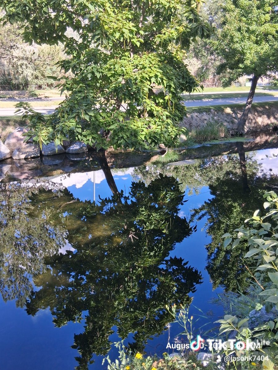 Jasonkw73's tweet photo. Nature https://t.co/plgT3LAaea