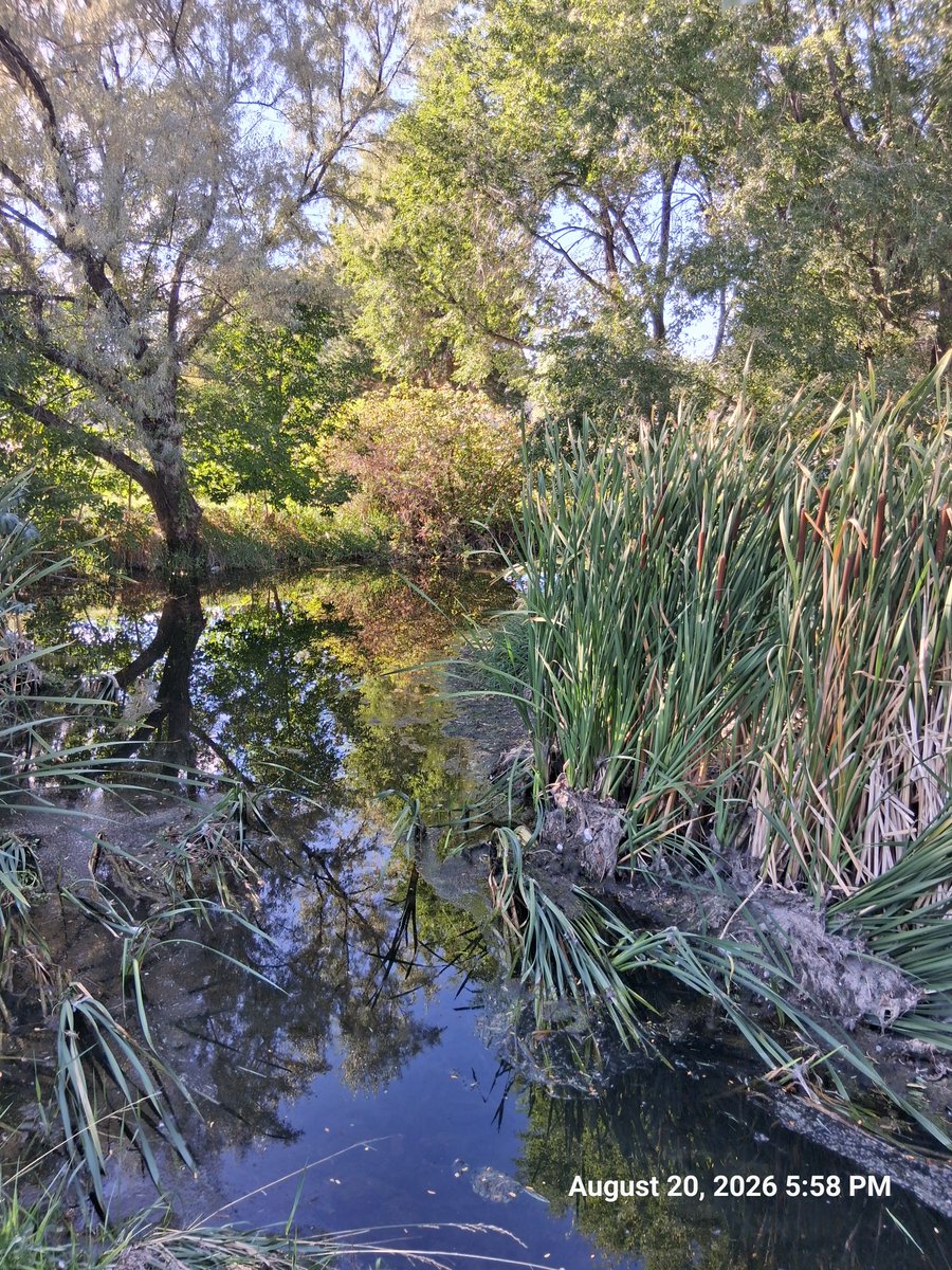 Jasonkw73's tweet photo. Nature https://t.co/plgT3LAaea