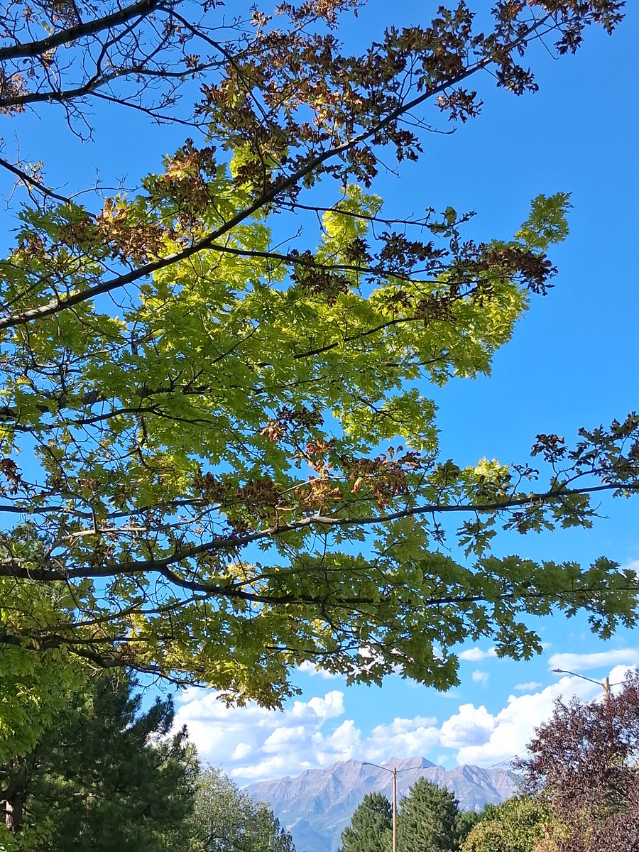 Jasonkw73's tweet photo. Nature https://t.co/plgT3LAaea