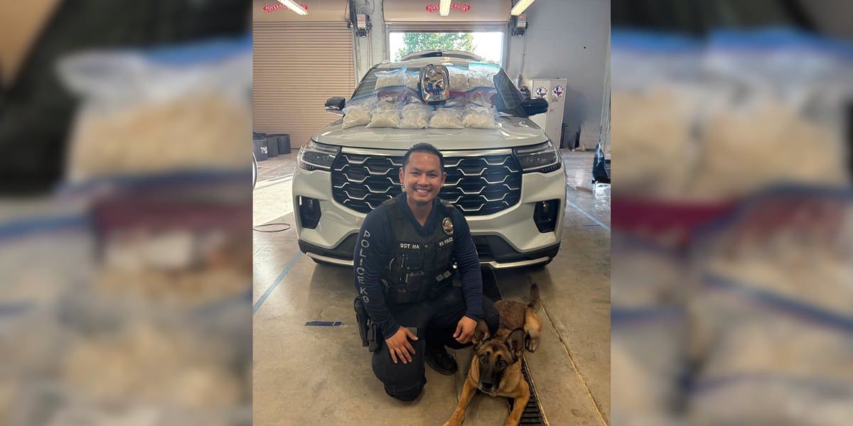 ppak9org's tweet photo. K9 Maki of the Brenham PD, TX, less than a year on the job, just helped seize nearly 40 lbs of meth in a US-290 traffic stop with Sgt. Jimmy Ha. Great work! 🐾 #PPAK9 #K9 #K9Unit #DrugBust https://t.co/K6fiNhzdef