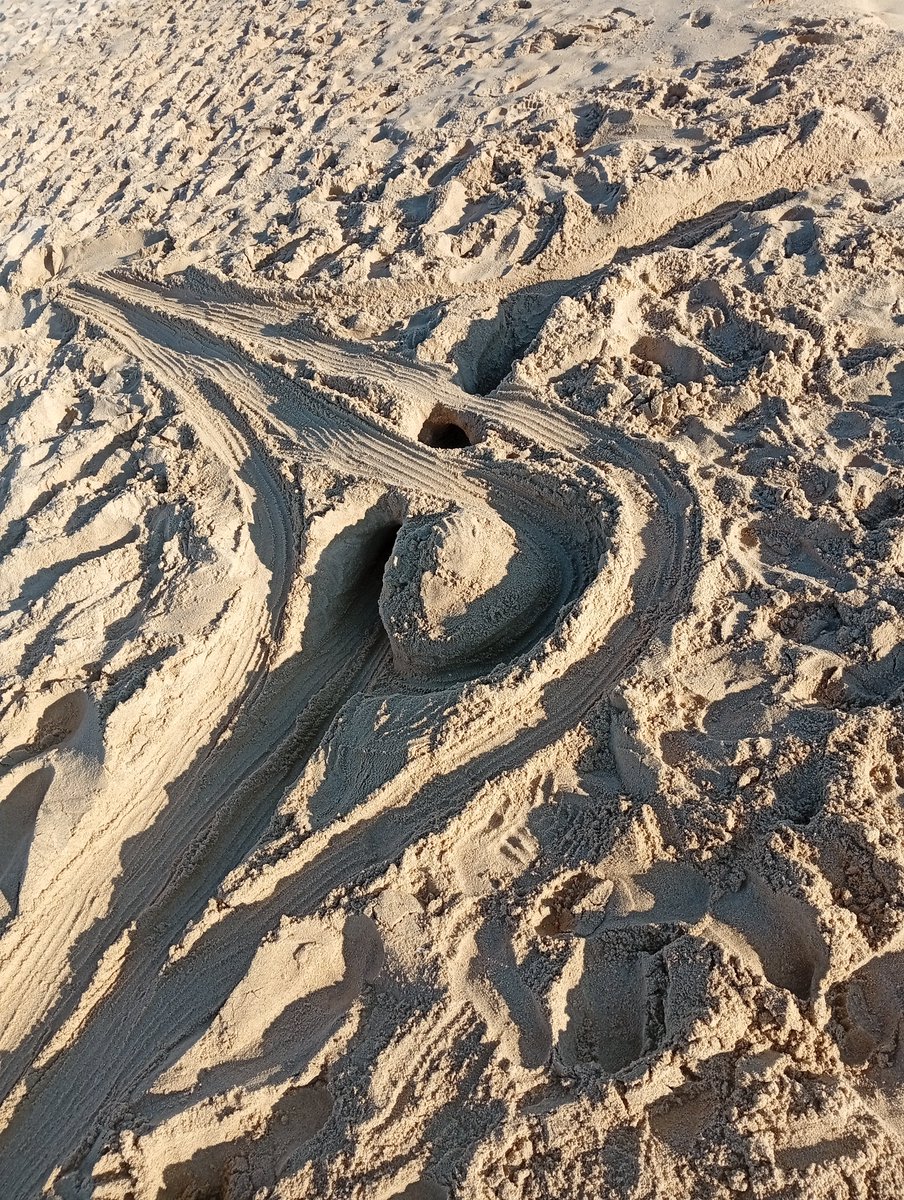 edu23u's tweet photo. Chat yesterday i made a fucking highway interchange on the beach, we might be reaching new levels of autism https://t.co/j0aKG4Tix4