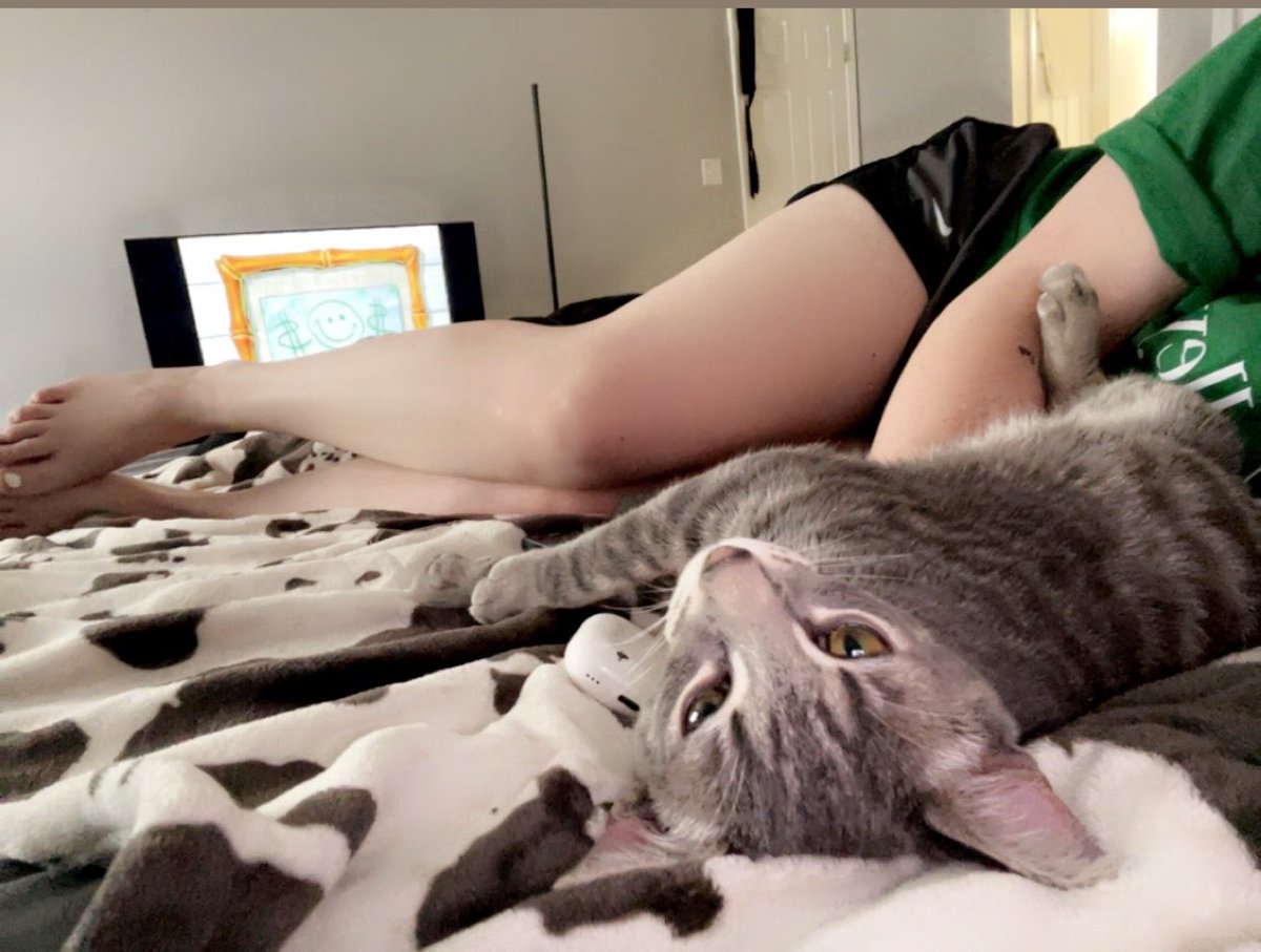 BunnyGirlDom1's tweet photo. Loki says send his mommy money or else…

finsub findom paypuppy https://t.co/sm7ZRXAKuS