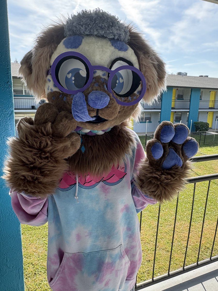 TheFerretFinley's tweet photo. Opening up ONE fullsuit/partial fursuit slot for spring 2027 completion. 
Please DM if interested/for a quote. https://t.co/73rasvikJR