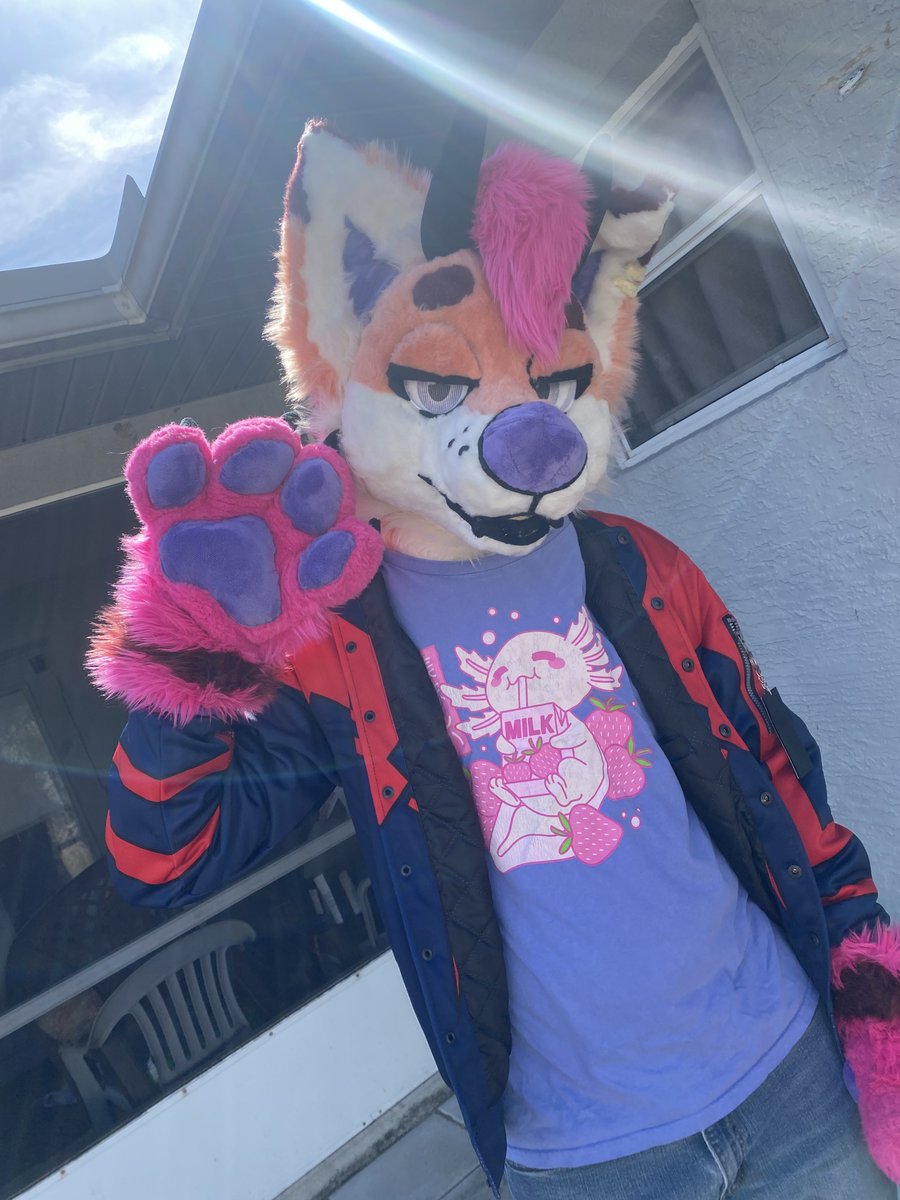 TheFerretFinley's tweet photo. Opening up ONE fullsuit/partial fursuit slot for spring 2027 completion. 
Please DM if interested/for a quote. https://t.co/73rasvikJR
