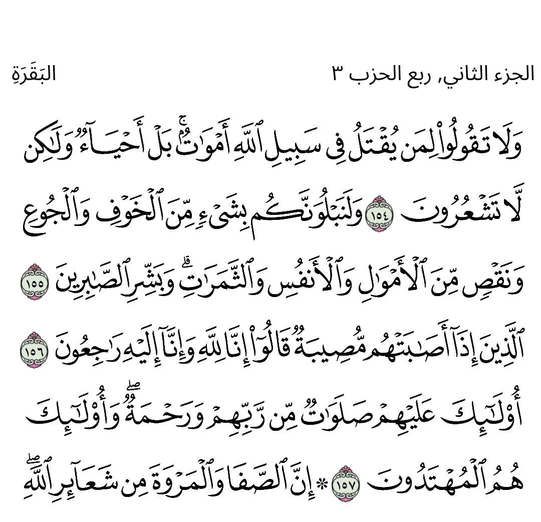 archivgi's tweet photo. @Queeniya_Q8 https://t.co/ld3HfqammQ